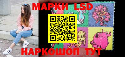 стаф Шебекино