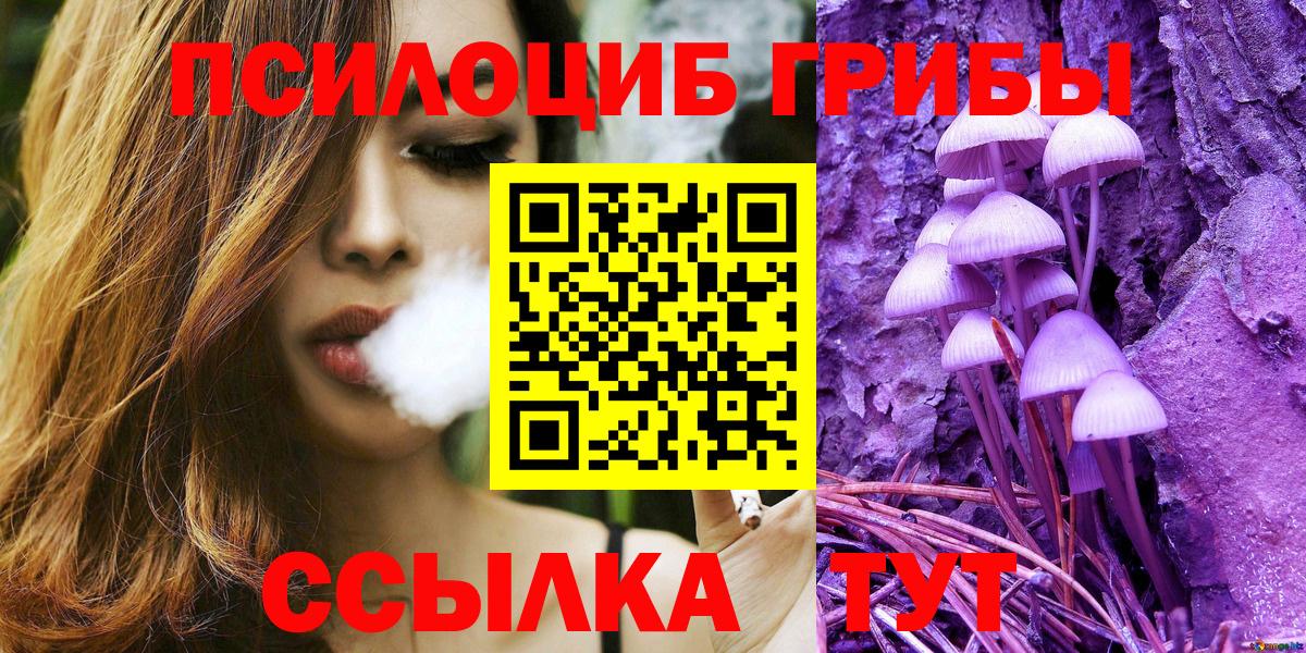 Гай  Галлюциногенные грибы Psilocybe  Вход с VPN  Галлюциногенные грибы прущие грибы 