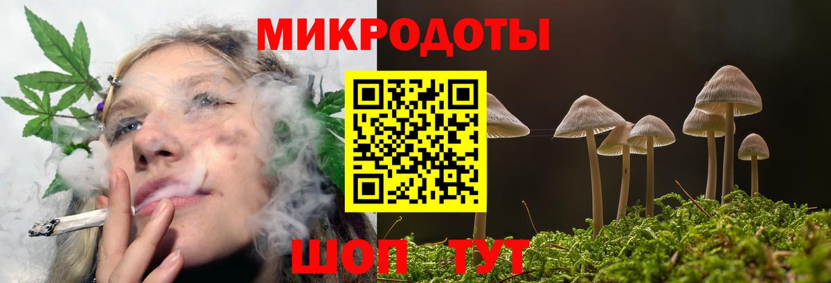 Псилоцибиновые грибы Magic Shrooms Гай